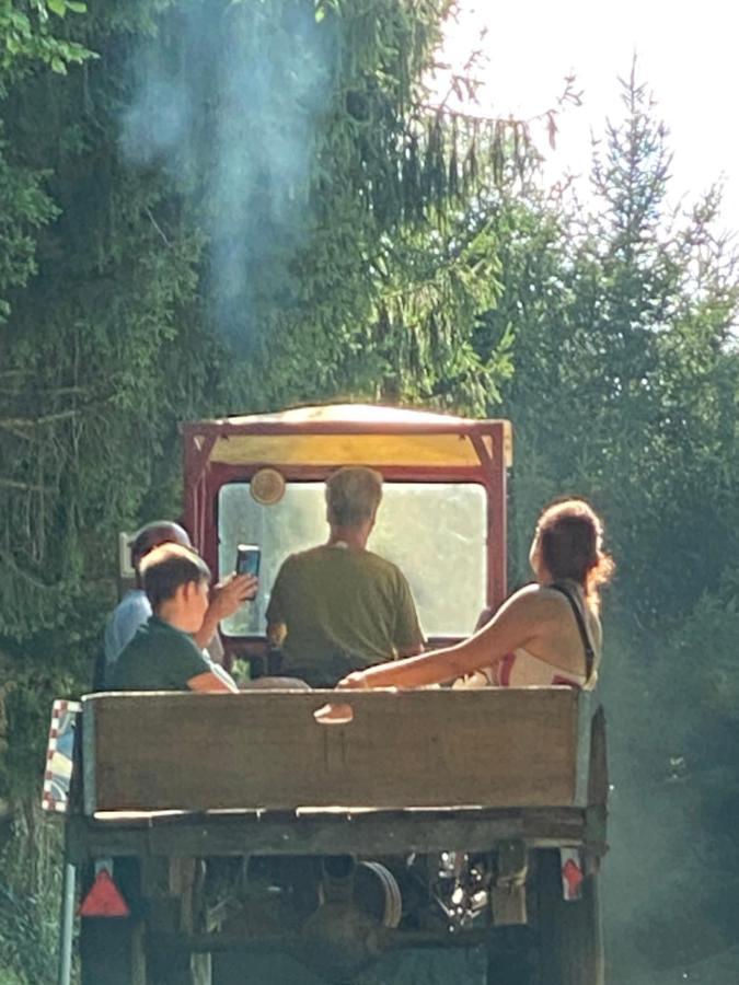 Kellerstoeckl Am Veganen Bio-Lebenshof "Varm - Die Vegane Farm" Sulb Exteriér fotografie